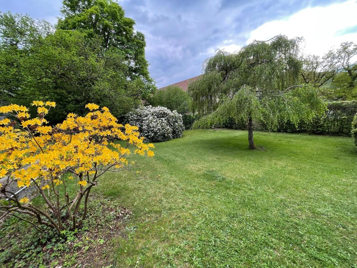 A L'Ombre Des Tilleuls Husseren-Wesserling Buitenkant foto