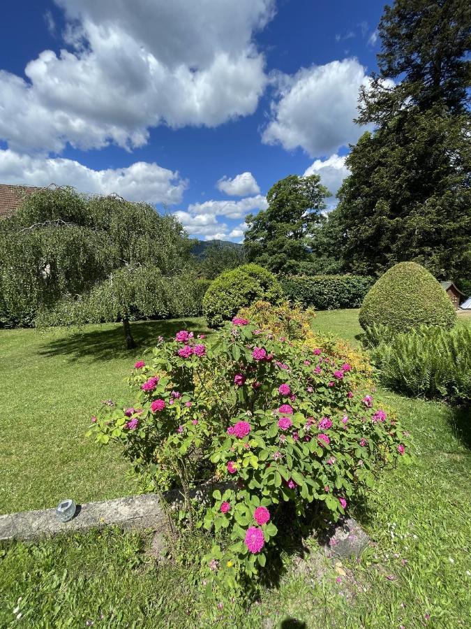 A L'Ombre Des Tilleuls Husseren-Wesserling Buitenkant foto